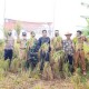 26 Tahun Selalu Gagal Panen, Kini 300 Hektare Sawah di Indramayu Panen Serentak