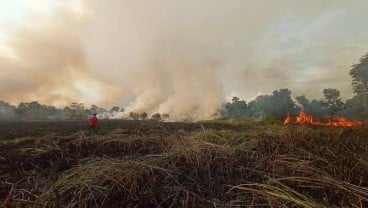 BPBD Sumsel Padamkan Karhutla di Ogan Ilir