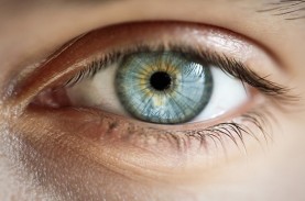 Studi Ungkap Pupil di Mata Anda dapat Melihat Informasi…