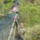 4 Ekor Elang dan 3 Kucing Hutan Dilepasliarkan ke Taman Nasional Gunung Ciremai