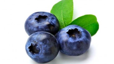 Studi : Jus Blueberry dapat Kurangi Risiko Kanker Kulit