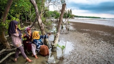 Kunjungan Wisman Anjlok 67 Persen, BPS: Belum Ada Perbaikan