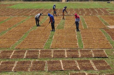Kalbar Alami Deflasi 0,21 Persen pada September