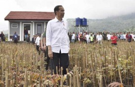 Jokowi kepada Ridwan Kamil: Sampaikan ke Dunia, Citarum Bukan Lagi Sungai Terkotor Sedunia!