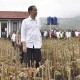 Jokowi kepada Ridwan Kamil: Sampaikan ke Dunia, Citarum Bukan Lagi Sungai Terkotor Sedunia!