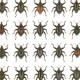 Peneliti BRIN Temukan 28 Kumbang Moncong Jenis Baru di Sulawesi