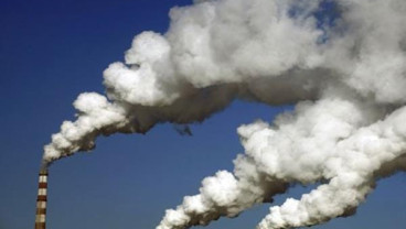 Lelang Percontohan Kredit Karbon Setara 170.000 Ton CO2 Rampung