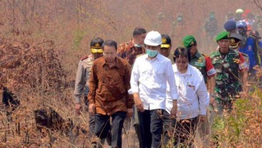 Riuh Kicauan Siti Nurbaya Bakar, Deforestasi Hutan & Janji Jokowi di KTT Iklim