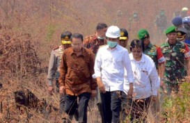 Riuh Kicauan Siti Nurbaya Bakar, Deforestasi Hutan & Janji Jokowi di KTT Iklim