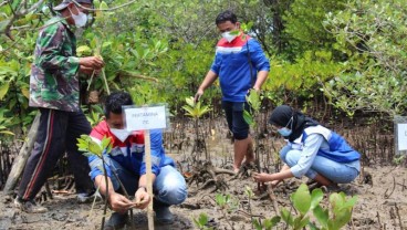 KKP Optimistis Target Restorasi Mangrove 600 Ribu Hektare Tercapai Tahun 2024