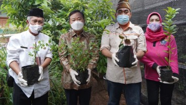 Korindo Kembangkan Kampung Herbal di Jaksel