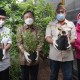 Korindo Kembangkan Kampung Herbal di Jaksel