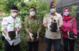 Korindo Kembangkan Kampung Herbal di Jaksel