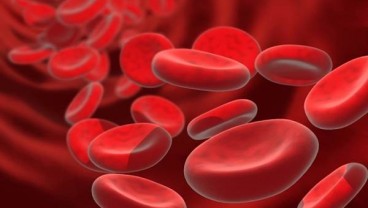 Terjadi Perubahan pada Kuku, Indera Perasa dan Kulit Tanda Anemia Defisiensi Besi