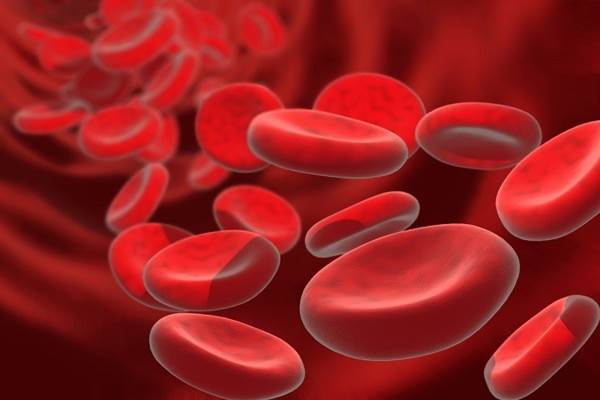 Ilustrasi sel darah merah/Istimewa
