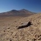 10 Fakta Atacama Desert, Gurun Tertua dan Terkering di Dunia