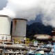 Pertamina Geothermal Bakal Terbitkan Green Bond Tahun Depan