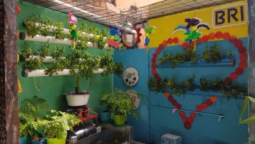 Lebih Berdaya Bersama BRI, Rudi Jadi Pahlawan Kembangkan Kampung Sayur Cempoko