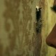 Sinopsis Film Horor 'The Whole Truth', Rahasia Kelam Terbongkar dari Lubang Dinding