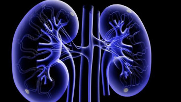Obat Diabetes Merusak Ginjal ? Ini Penjelasan Dokter