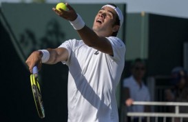 ATP Finals 2021: Posisi Berrettini Digantikan Jannick Sinner