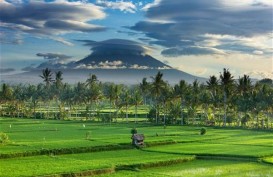 Keren ! Ubud Jadi Kota Wisata ke Empat Terbaik di Dunia