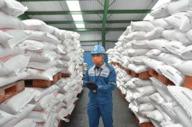 Pusri Pastikan Ketersediaan Pupuk Bersubsidi Sesuai…