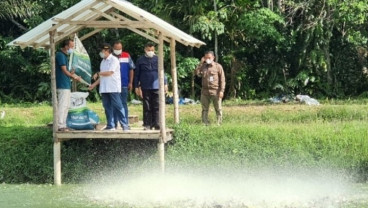 Program CSR Pertamina Hulu Rokan Jangkau Lebih Dari 3.000 Warga