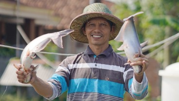 Ada Festival Makan Ikan dalam Rangka Hari Ikan Nasional