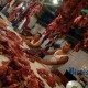 Berdikari Belum Terima Penugasan Impor Tambahan Daging Sapi