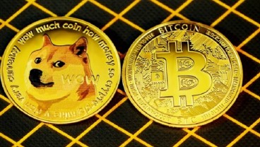 Dogecoin dan Shiba Inu Lagi Naik Daun, Begini Kata CEO Tokocrypto