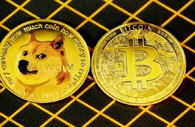 Dogecoin dan Shiba Inu Lagi Naik Daun, Begini Kata CEO Tokocrypto