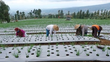 UMP 2022 Jateng, Hitung-hitungan Ekonom Bisa Naik 5 Persen