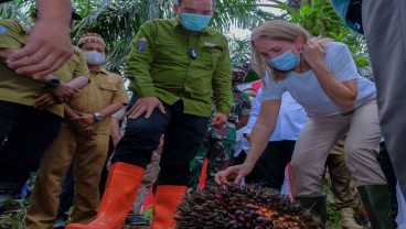 Norwegia Dorong Pengembangan Kebun Sawit Swadaya di Muba