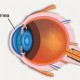 Terapi Cahaya Merah dapat Meningkatkan Penglihatan yang Menurun Akibat Usia