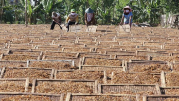 Kenaikan Cukai Rokok, Kemenperin Usul Tak Terlalu Tinggi