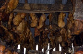 Hakarl, Hidangan Hiu Fermentasi dari Islandia, Berani…