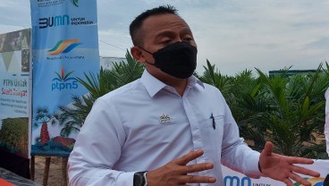 PTPN V Targetkan Peremajaan Sawit Rakyat Seluas 2.500 Ha Tahun Depan