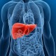 11 Risiko dan Tanda Penyakit Liver Sejak Usia Muda