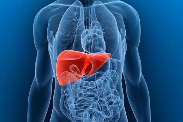 11 Risiko dan Tanda Penyakit Liver Sejak Usia Muda
