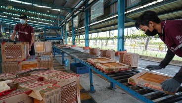 Arwana Citramulia (ARNA) Percaya Diri Bersaing dengan Produk China