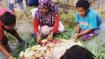 MPR Dukung Kebijakan Panglima TNI untuk Menyelesaikan Konflik di Papua