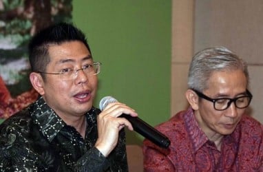 PALM Mantap Jadi Perusahaan Investasi, Kapan Realisasinya?