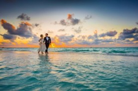 Rencanakan Intimate Wedding, Segini Kira-kira Biaya…