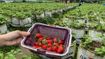 Bupati Magelang Keluarkan Imbau Khusus Menjelang Nataru