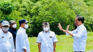 Mangrove Conservation Forest Bukti Komitmen Indonesia Terhadap Perubahan Iklim