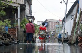 Tambak Lorok, Potret Buram Gempita Pembangunan Kota Semarang