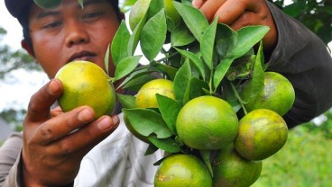 Tanda-tanda Tubuh Kekurangan Kalium, Kesemutan hingga Jantung Berdebar