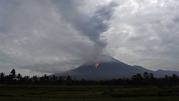 Ngeri! BNPB Alami Gangguan saat Evakuasi Gunung Semeru Meletus