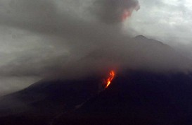 BNPB Upayakan Lokasi Pengungsian usai Gunung Semeru Meletus